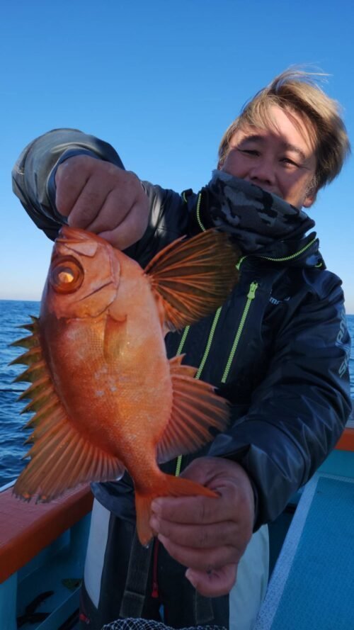 キントキ(チカメキントキ)