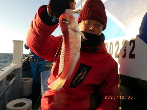 アマダイ(アカアマダイ)