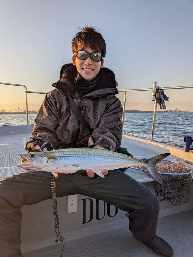 サゴシ(サワラ)