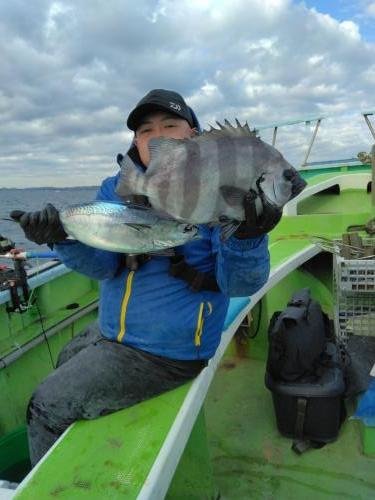 イシダイ・ワラサ(ブリ)