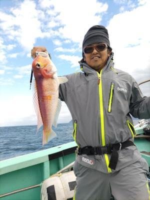 アマダイ(アカアマダイ)