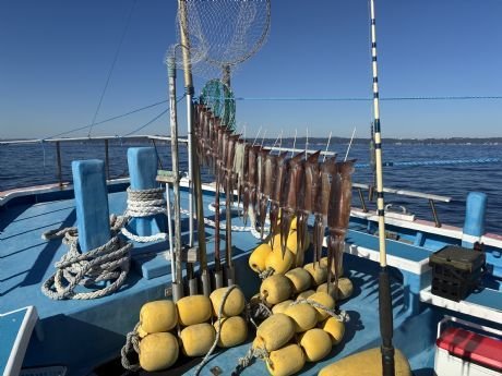 スルメ(スルメイカ)