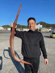 ヤガラ(アカヤガラ)