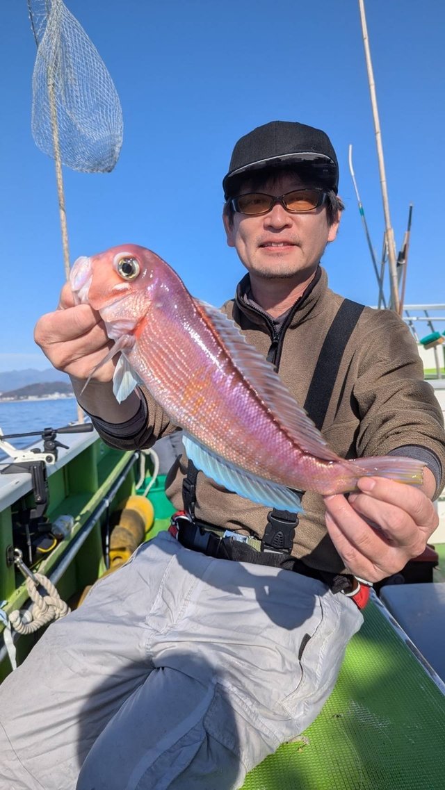 アマダイ(アカアマダイ)