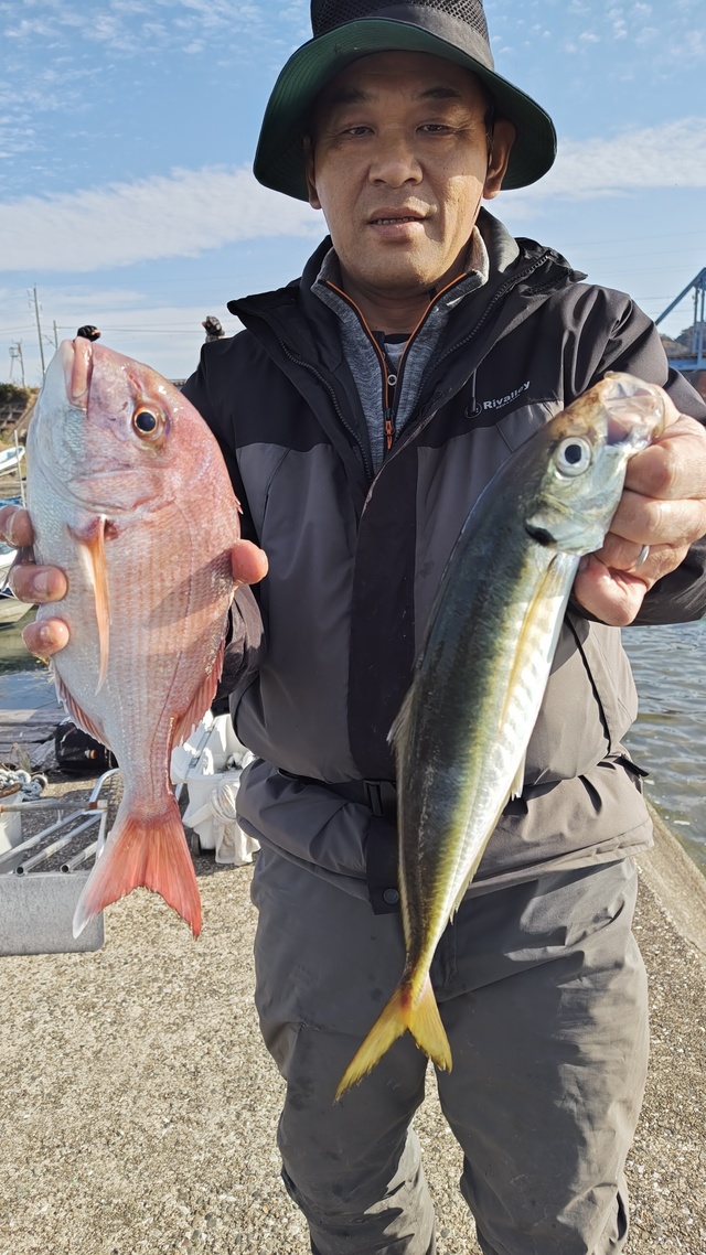 マダイ・アジ(マアジ)