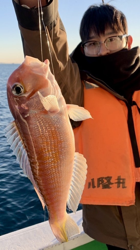 アマダイ(アカアマダイ)