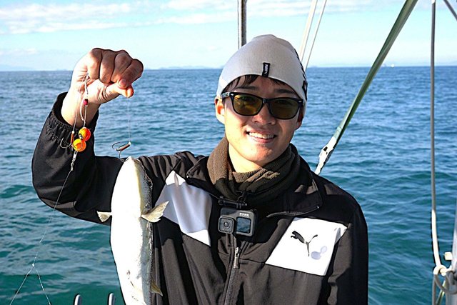 ショウサイフク(ショウサイフグ)