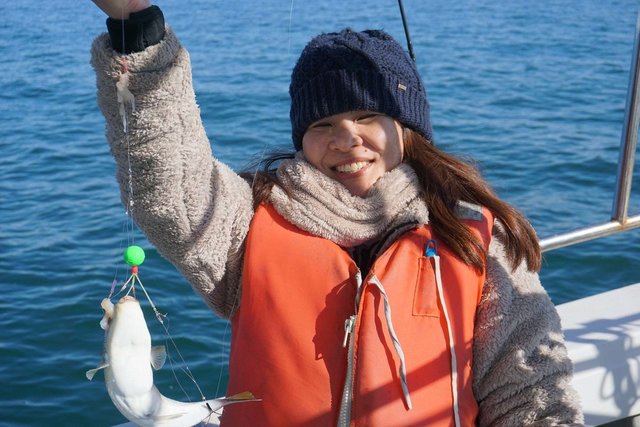 ショウサイフク(ショウサイフグ)