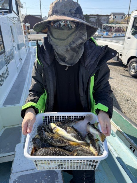 フグ(ショウサイフグ)