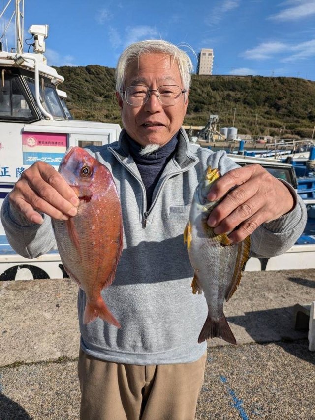 ハナダイ(チダイ)・イサキ