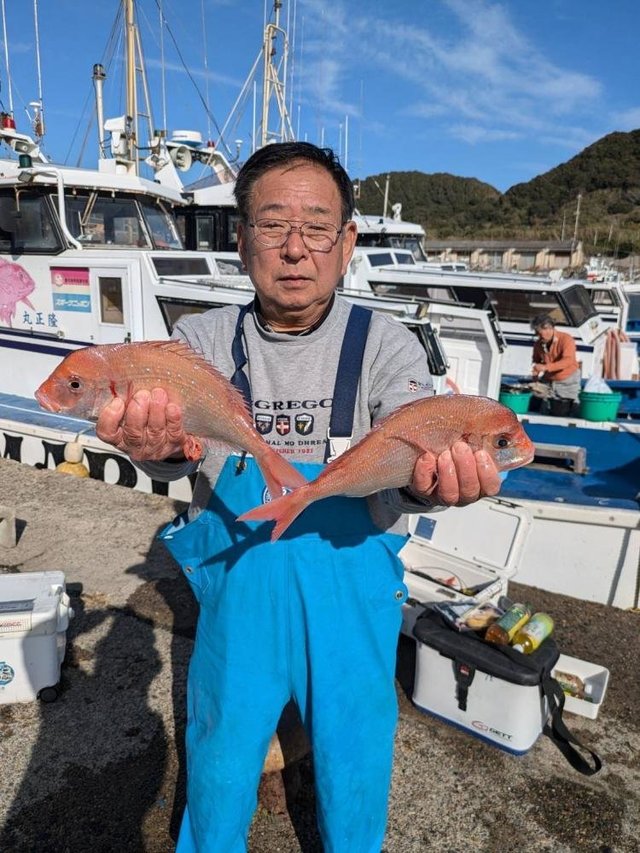 ハナダイ(チダイ)