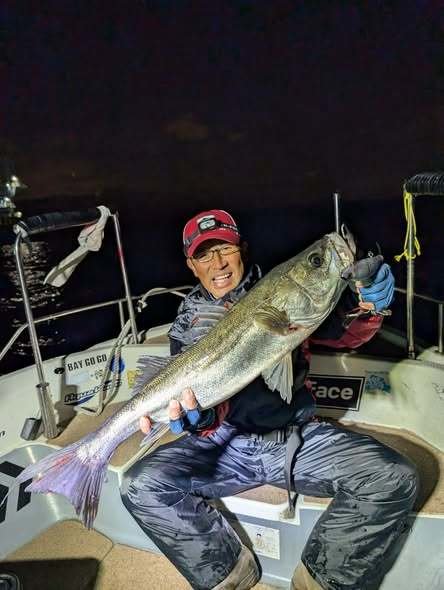 シーバス(スズキ)