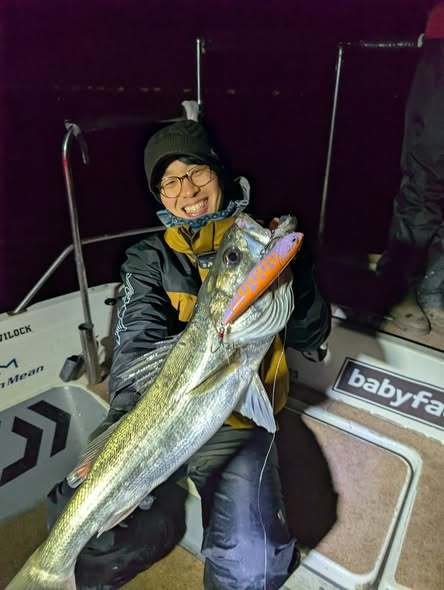 シーバス(スズキ)