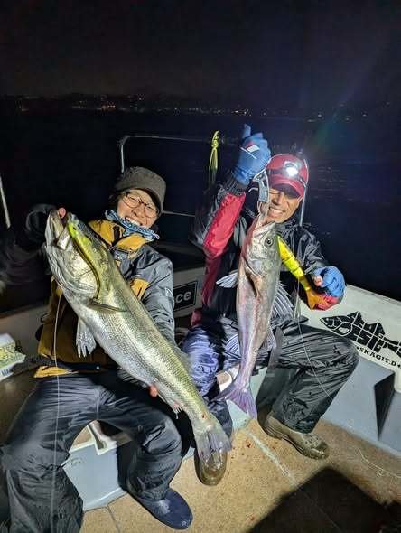 シーバス(スズキ)