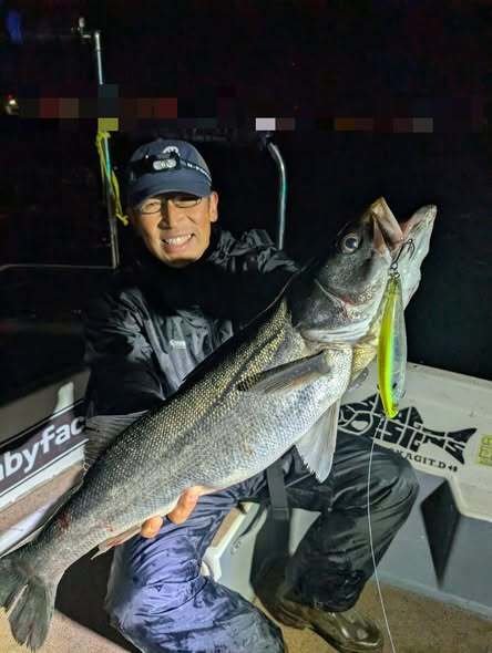 シーバス(スズキ)