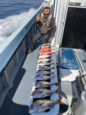 マダイ・コダイ(マダイ)・イサキ・チカメ(チカメキントキ)