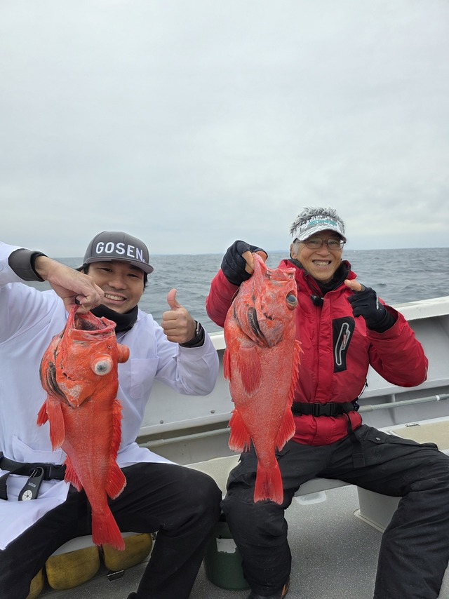 ベニアコウ(オオサガ)