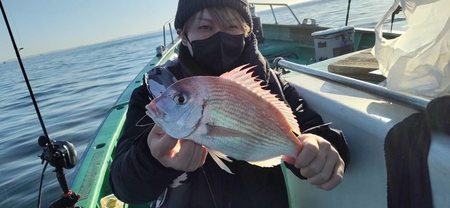 ハナダイ(チダイ)