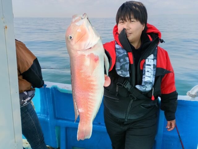 アマダイ(アカアマダイ)