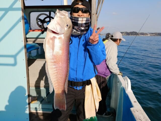 アマダイ(アカアマダイ)