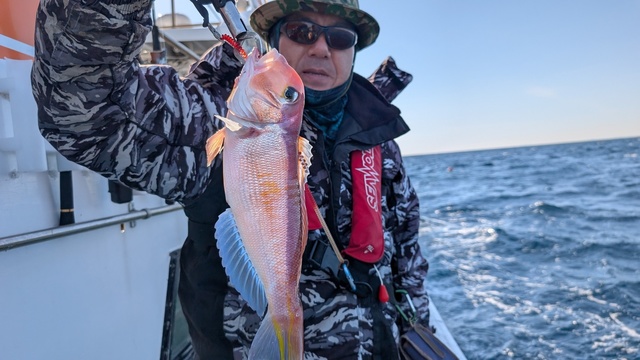 アマダイ(アカアマダイ)