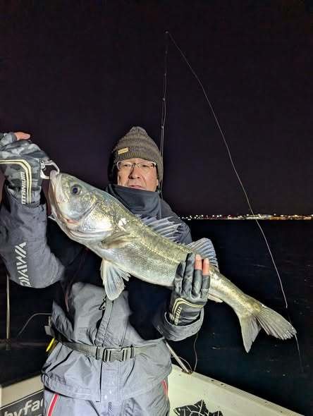 シーバス(スズキ)