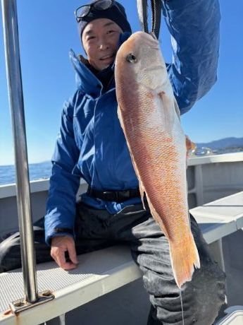 アマダイ(アカアマダイ)