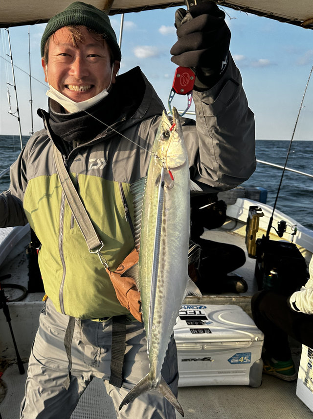 サゴシ(サワラ)