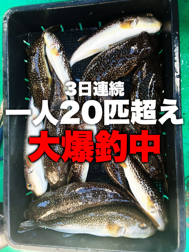 ショウサイフグ