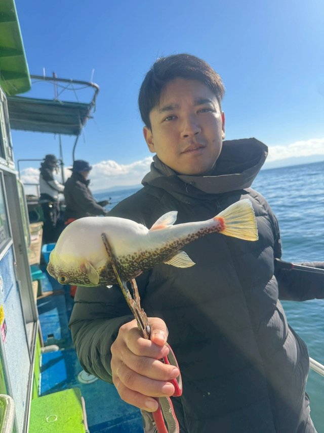 ショウサイフグ