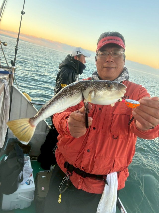 ショウサイフグ