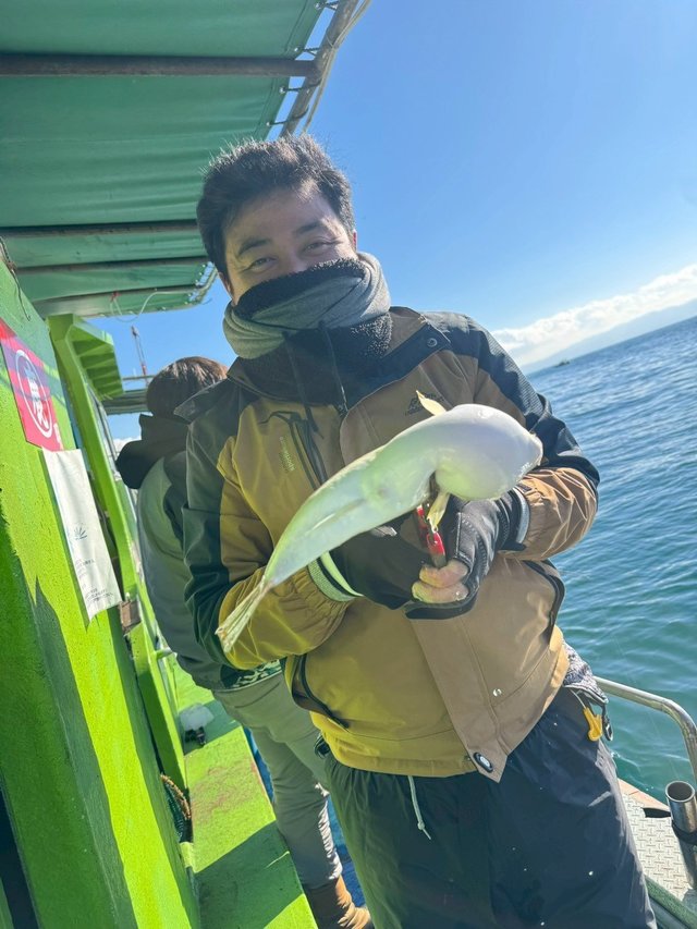 ショウサイフグ