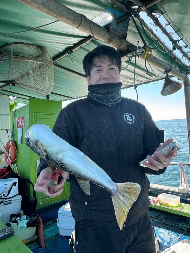 ショウサイフグ