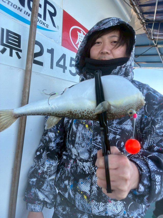 ショウサイフグ