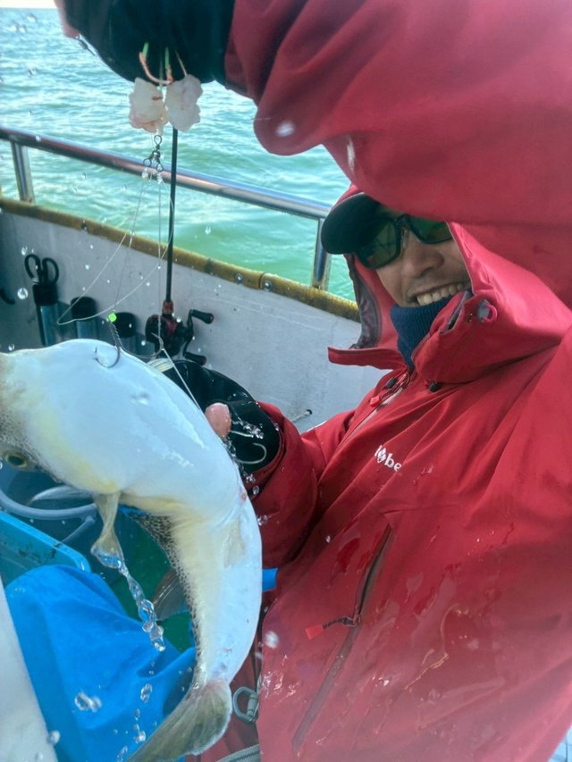 ショウサイフグ