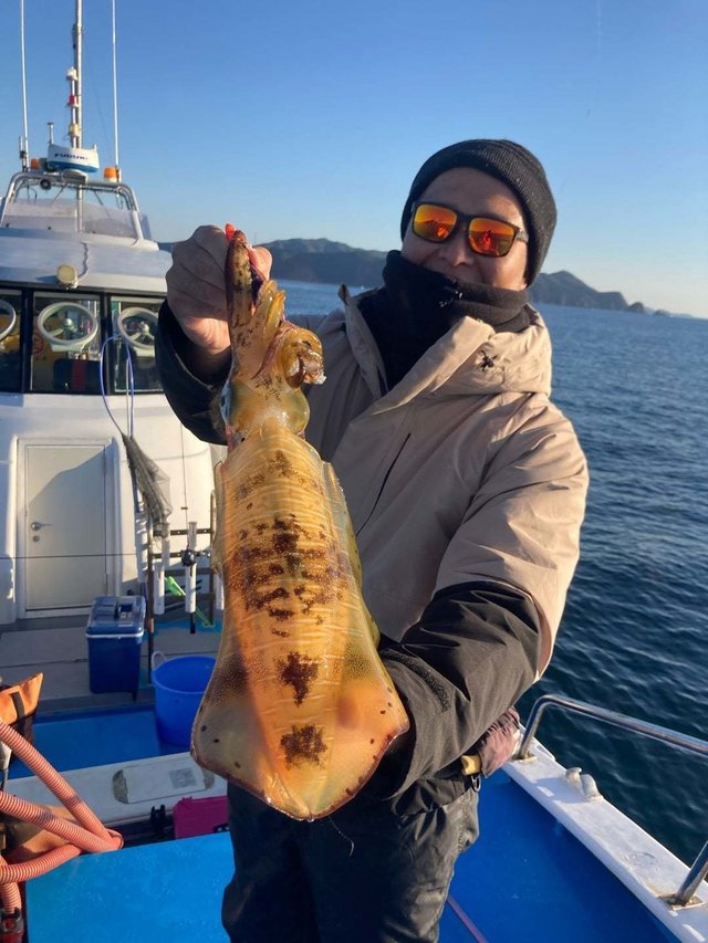 アオリ(アオリイカ)