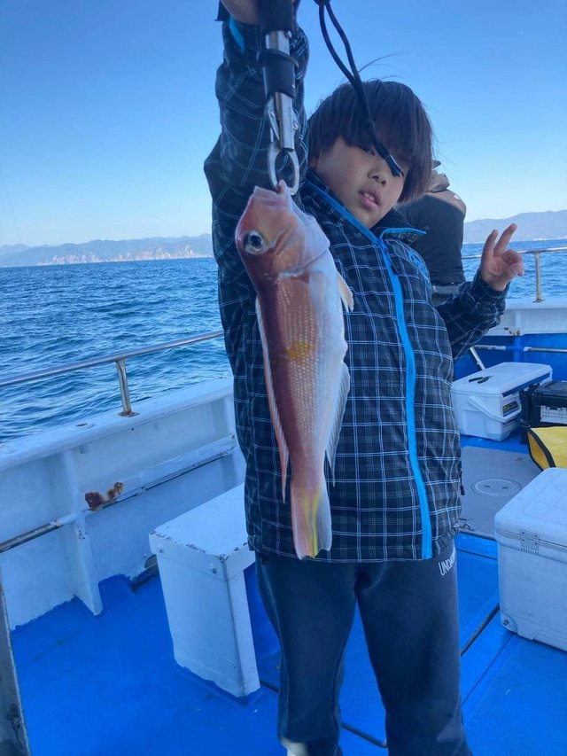 アマダイ(アカアマダイ)