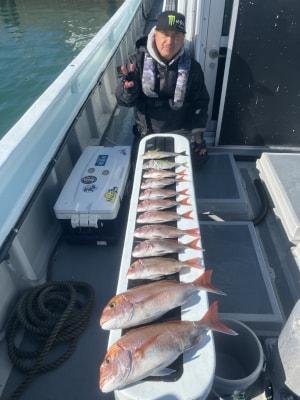 マダイ・コダイ(マダイ)・カイワリ・イサキ