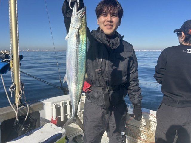 サゴシ(サワラ)