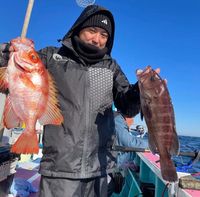 マハタ・キントキ(チカメキントキ)