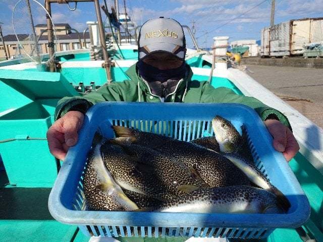 ショウサイフグ