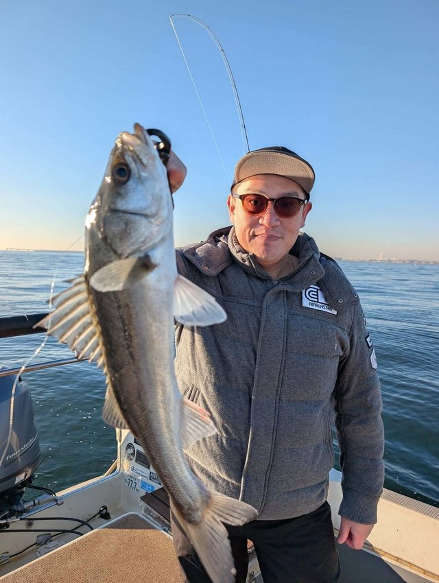 シーバス(スズキ)