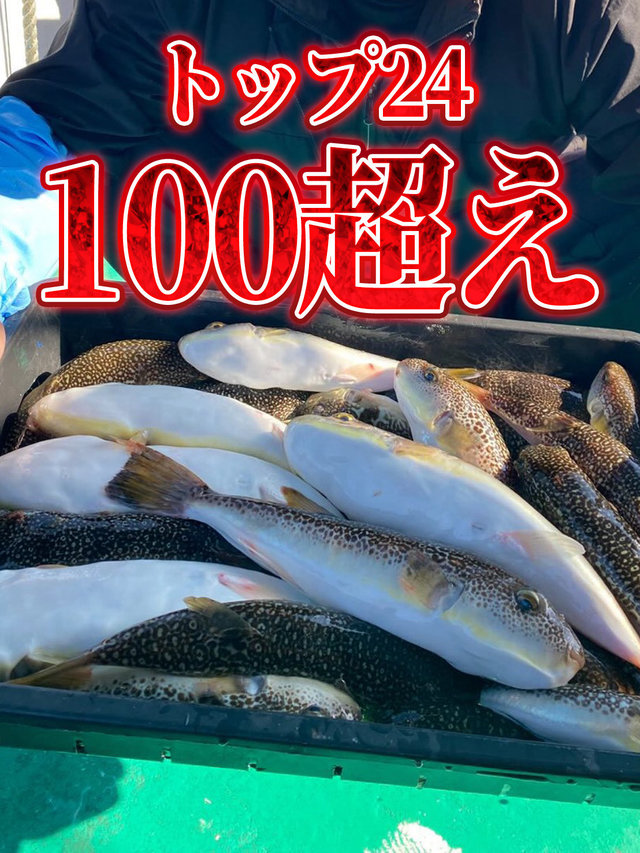 ショウサイフグ