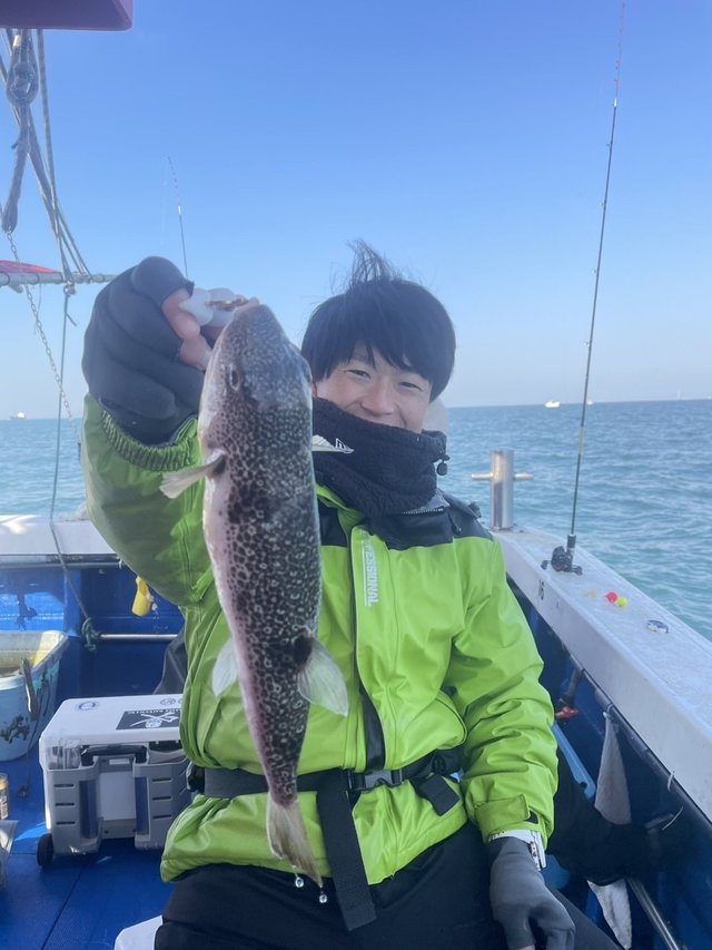 ショウサイフグ