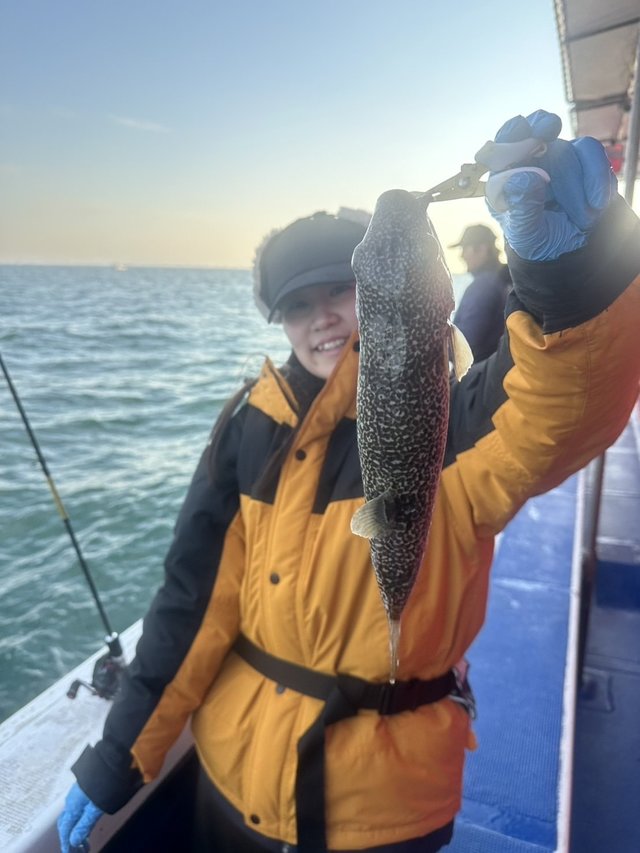 ショウサイフグ