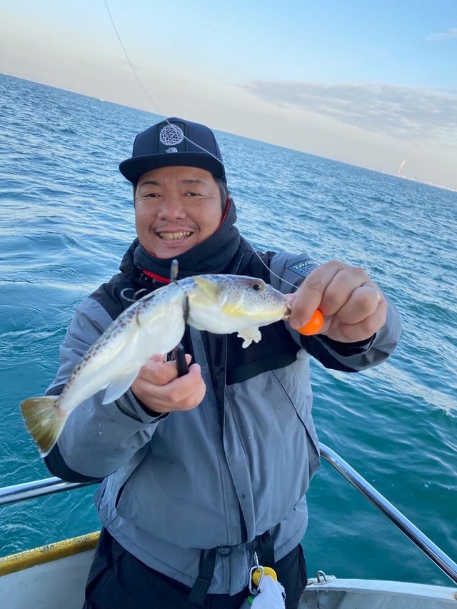 ショウサイフグ