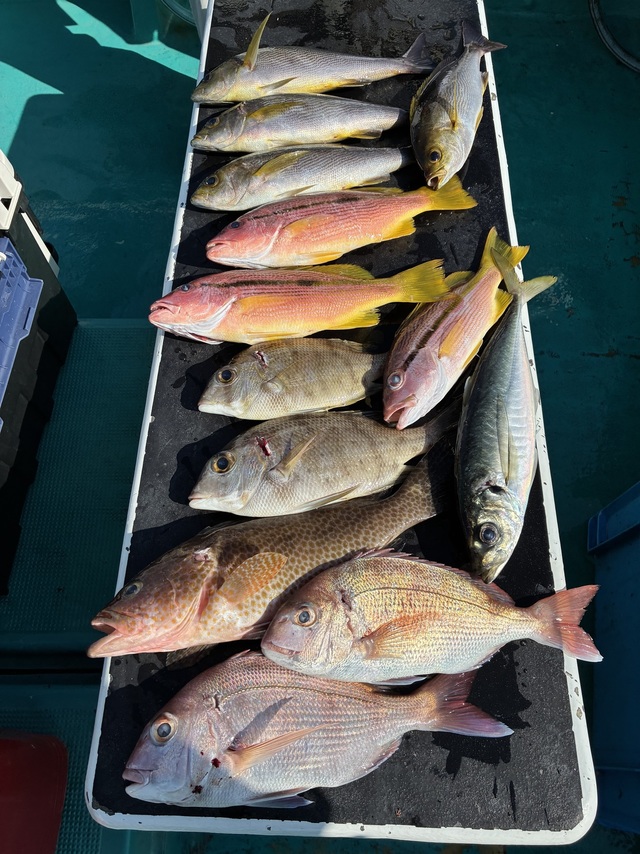 マダイ・メイチダイ