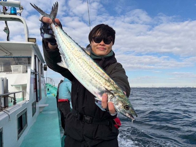 サゴシ(サワラ)