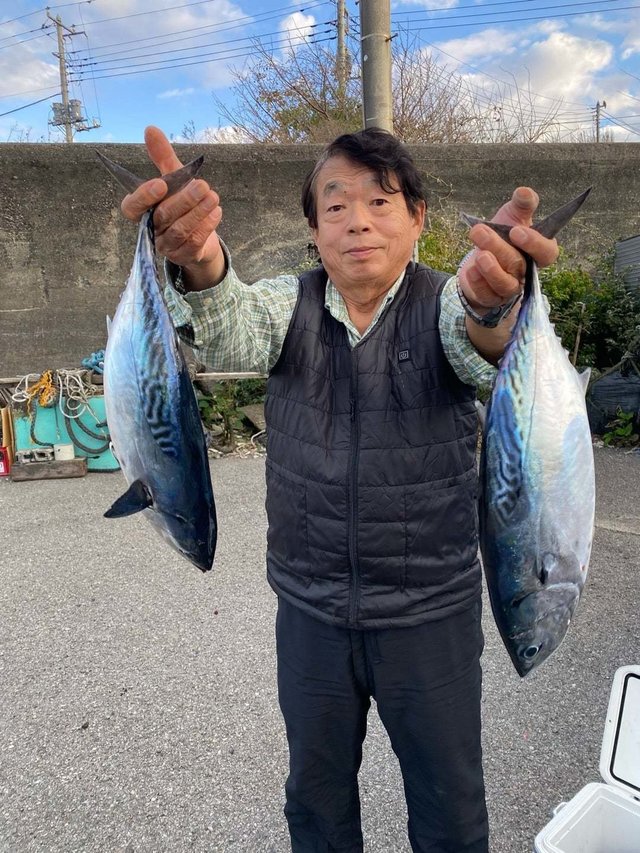 スマガツオ(スマ)