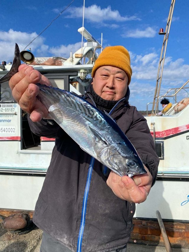 スマガツオ(スマ)